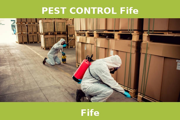 PEST CONTROL Fife